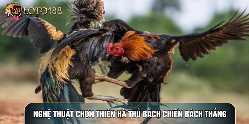 Nghệ thuật chọn thiên hà thủ bách chiến bách thắng Nghệ thuật chọn thiên hà thủ bách chiến bách thắng