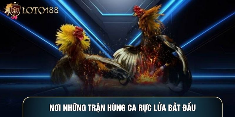 Nơi những trận hùng ca rực lửa bắt đầu