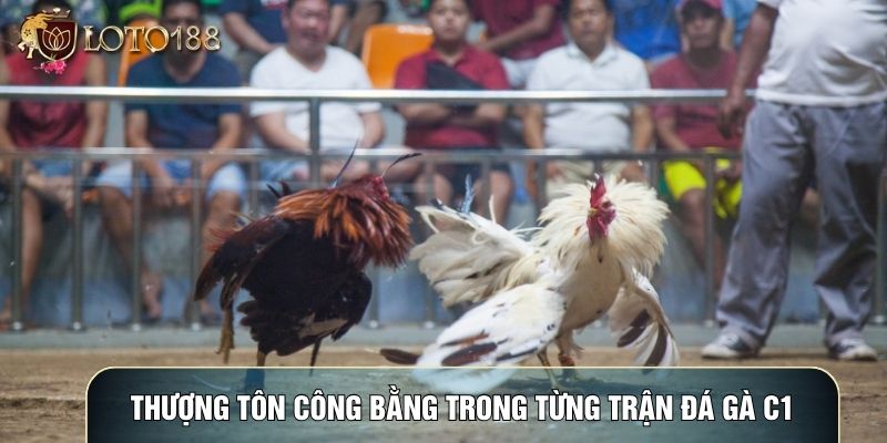 Thượng tôn công bằng trong từng trận Đá gà C1